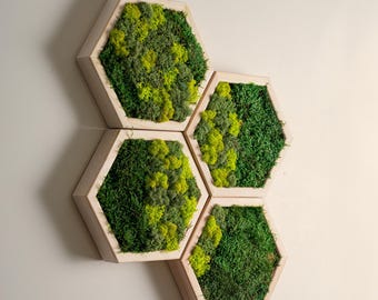 Hexagon Moss Wall Decor, Framed Preserved Moss Art, Olive Wood, Mother's Day Gifts, Birthday Gifts, Rustic Wall Art