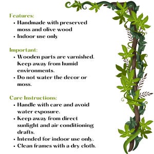 May include: A decorative corner piece featuring preserved moss and olive wood, with green leaves and vines. The text on the left provides features, important notes, and care instructions, including indoor use only and to avoid water exposure.