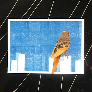 Kunstprint (met parkiet of ringstaartmaki), mixed media collage