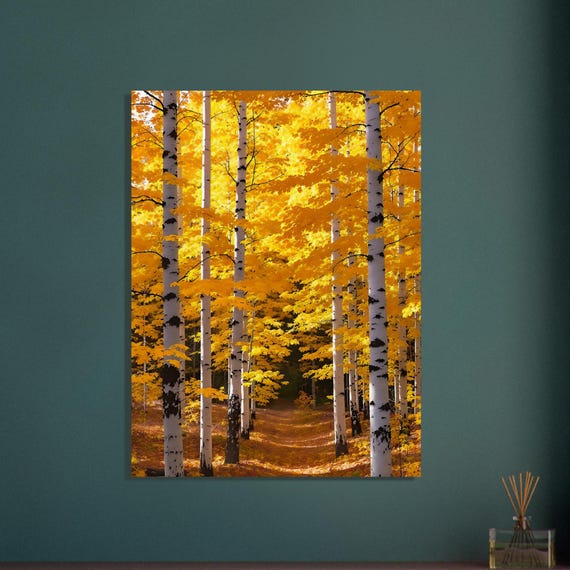 Gilded Autumn Aspen Grove Print: Boreal Forest Landscape Art, Fall Nature Wall Decor