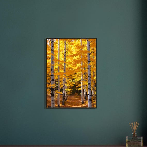 Colorado Autumn Aspen Grove Framed Wall Art - Golden Forest Nature Print for Fall Home Decor