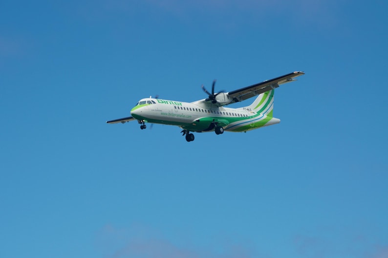 Pode incluir: Um avi&atilde;o branco e verde com a palavra "Birdy" no lado est&aacute; voando em um c&eacute;u azul claro.