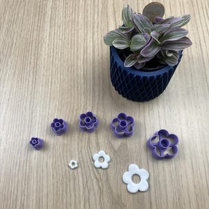 Peut inclure: Un pot de plante bleu texturé avec une plante aux feuilles vertes et violettes. Plusieurs emporte-pièces en forme de fleur violets et blancs de différentes tailles sont disposés sur une surface en bois.