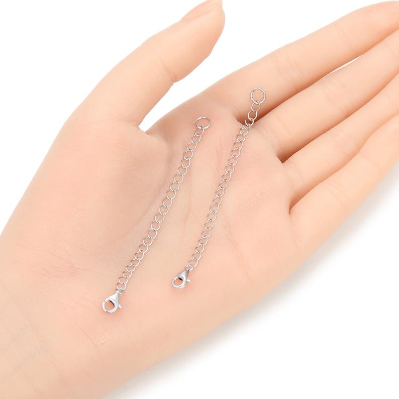 May include: Two silver extender chains with lobster claw clasps. The chains are approximately 2 inches long.