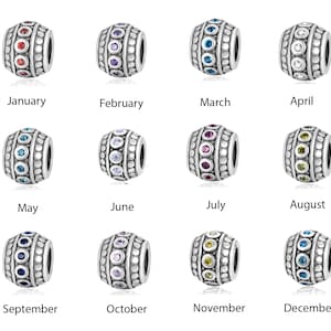 Pick 1pc 925 Sterling Silver Infinite Birthstone Bead Charm Cubic Zirconia Gemstone for Bracelet Necklace Jewelry Making Women Birthday Gift