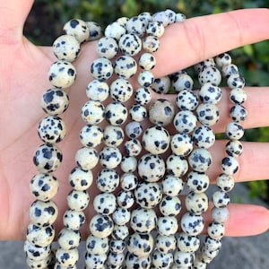 May include: A close-up of a strand of round, white and black dalmatian jasper beads. The beads are smooth and polished, and they have a speckled pattern.
