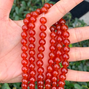 May include: A strand of bright red carnelian beads, each bead is round and smooth. The beads are strung on a clear thread and are arranged in a loose pile.