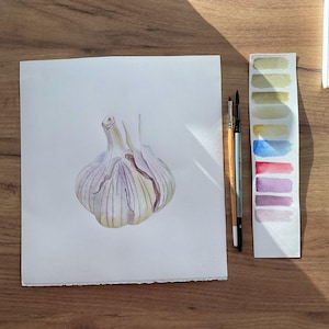 Watercolor painting Garlic, Garlic  painting, Original watercolor painting, realistic watercolor,Botanical art Realistic,