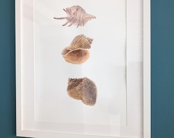 Ręcznie malowane muszle akwarelą: Oryginalna sztuka botaniczna nadmorska