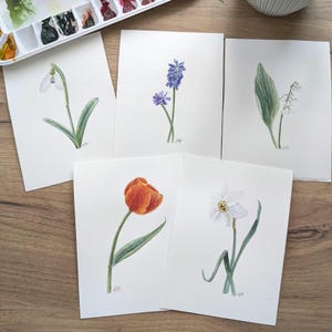 手描きのポストカードセット、水彩画、花の絵、オリジナルの水彩画、リアルな水彩画、ミニチュア水彩画