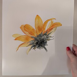 Watercolor painting of sunflower flower wall art vintage style realistic watercolor painting botanical art Realistic wall art Hand painted