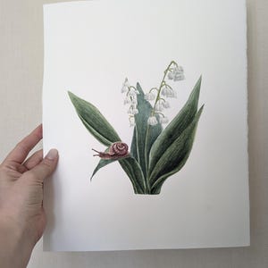 Lily of the Valley Watercolor Painting: Botanical Snail Art