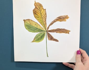 Oryginalny obraz akwarelowy z liściem kasztanowca | Jesienna sztuka botaniczna