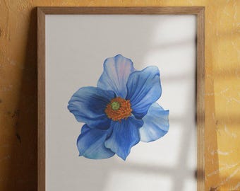 Niebieski mak, akwarela: botaniczna sztuka ścienna w stylu vintage (27 x 39 cm)