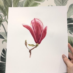 Watercolor painting Magnolia, Magnolia  painting, realistic watercolour painting, Original watercolor painting, Botanical art Realistic,