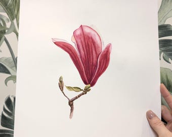 Oryginalny obraz akwarelowy „Magnolia”: realistyczna sztuka botaniczna (27 x 30 cm)