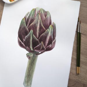 Watercolor painting Artichoke, Artichoke  painting, realistic watercolor painting, Botanical art Realistic, Vintage watercolor wall art