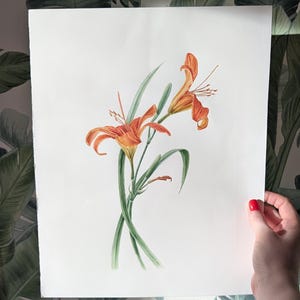Watercolor painting of orange daylily flower Summer Symphony: Lilies in Watercolor, realistic watercolour paintings, vintage style wall art