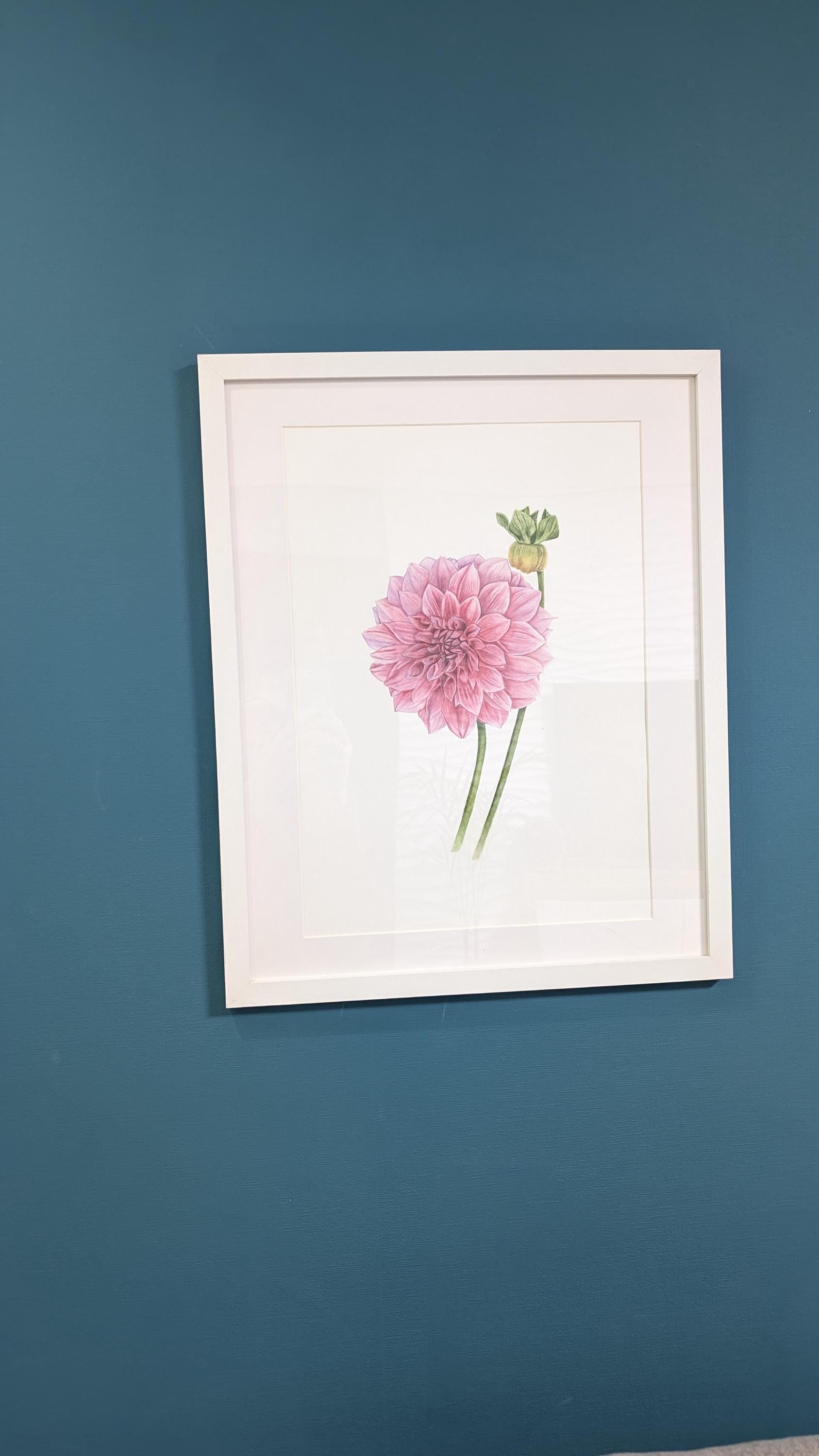 ピンクのダリアの水彩画：写実的な植物画、ヴィンテージスタイル