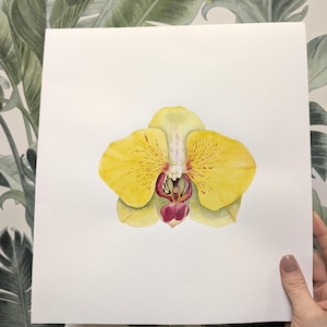 Watercolor painting yellow orchid, Yellow orchid painting, Original watercolor painting, Botanical art Realistic,vintage style wall art
