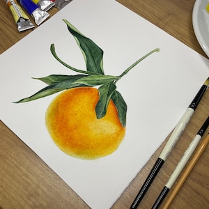 Watercolor painting of tangerine with leaves, Tangerine botanical illustration, realistic watercolor painting, vintage style wall art,