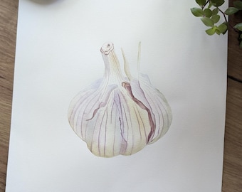 Oryginalny obraz akwarelowy z czosnkiem: realistyczna sztuka botaniczna (26 x 23 cm)