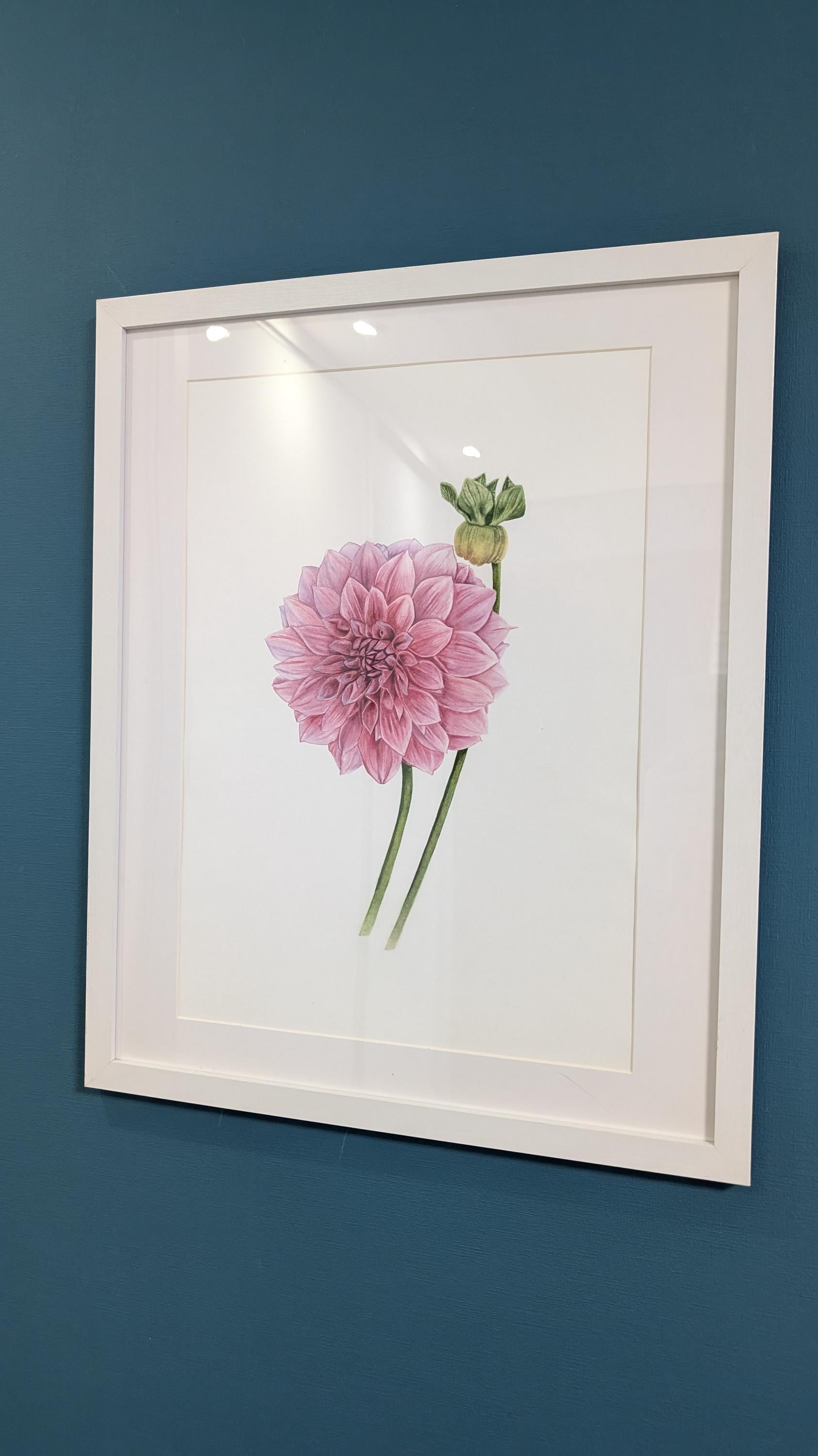 ピンクのダリアの水彩画：写実的な植物画、ヴィンテージスタイル