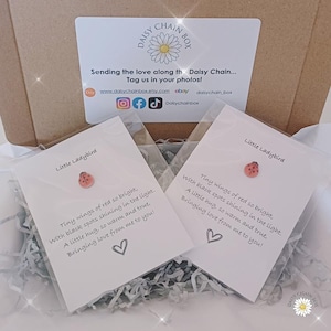 Ladybird Pocket Hug – Mini regalo ricordo, abbraccio nella posta, gettone "Pensando a te", regalo per la cassetta della posta, piccolo regalo per un amico, portafortuna