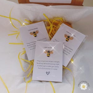 May include: Three small cards with bee-shaped brooches, each packaged in a clear plastic sleeve. The cards have text that reads "Tiny wings and stripes so bright, Buzzing left and buzzing right. A little hug to make you smile. Full of love across the miles!"