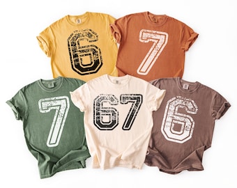 Comfort Colors Six Seven Tshirt,Funny 6 7 Meme Shirt,Group Costume Tee,Teacher Math Tshirt,Teen 6 7 Crewneck,Funny Matching Shirt,ana2314