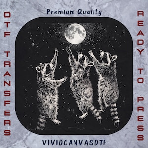 Raccoons & Moon DTF Transfer: Mystical Celestial Design