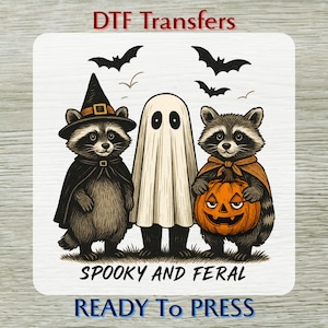 Spooky Raccoon DTF Transfer: Halloween Witch Shirt Design