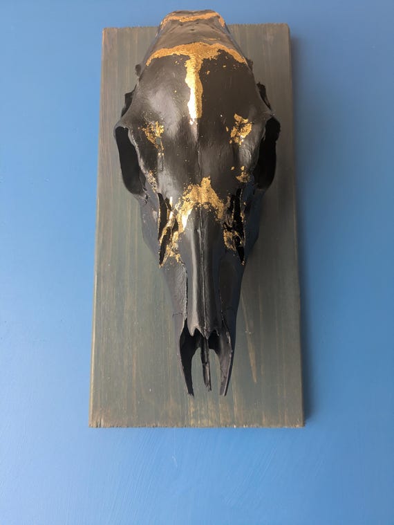 鹿の頭骨 壁掛け装飾 大きめ Amazon.co.jp: 樹脂製フェイク鹿の頭 角 壁掛け装飾、アート剥製