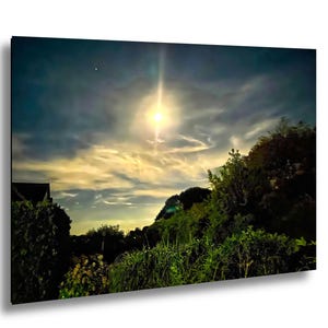 Cape Cod Starry Sky Print: Winslow Dog Nightscape Coastal Art