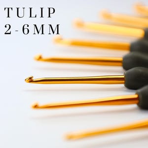 Peut inclure: Gros plan sur un ensemble de crochets avec des pointes en métal doré et des manches noirs. Le texte "TULIP 2-6 MM" est affiché en haut de l'image. Les crochets sont disposés en rangée, les pointes étant mises au point.