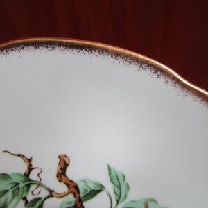 May include: A white ceramic plate with a gold rim and a green and brown floral design. The plate is decorated with a stylized branch with leaves and a small bird.