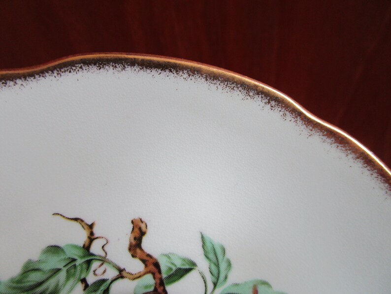 May include: A white ceramic plate with a gold rim and a green and brown floral design. The plate is decorated with a stylized branch with leaves and a small bird.