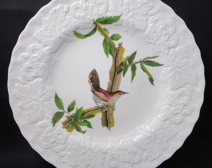 Featured listing image: Alfred Meakin White "Belwicki's Wren" Plate, Audubon's Birds of America series, wall hanging plate