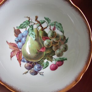 May include: A white porcelain teacup with a gold rim and a painted design of pears, grapes, and plums.