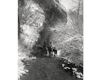 Museum-Quality Matte Paper Poster