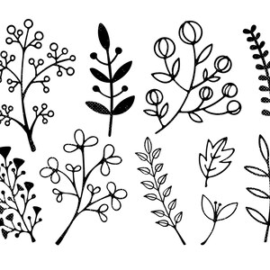 Pode incluir: Um conjunto de dez ilustrações florais desenhadas à mão em preto e branco. As ilustrações apresentam vários tipos de flores, folhas e caules.