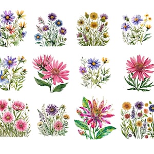 Pacote de png de flores silvestres em aquarela, pacote de png, png floral, presente floral para professores, presente para ela, png de sublimação, para presente personalizado
