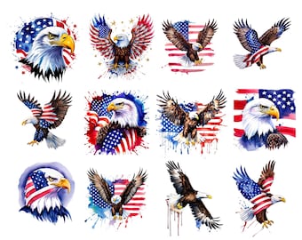 American Flag Eagle PNG-bundel, clipart 4 juli (digitale download)