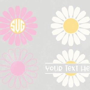 Daisy SVG and PNG, Daisy Split Monogram SVG, Daisy flower design Cut-file for Cricut and Glowforge and t-shirt design