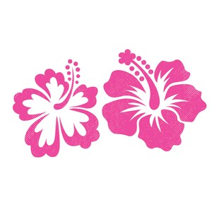 Hibiscus SVG, Tropical flower svg and png, Hawaiian design, Tropical flowers, floral svg for Cricut and Glowforge