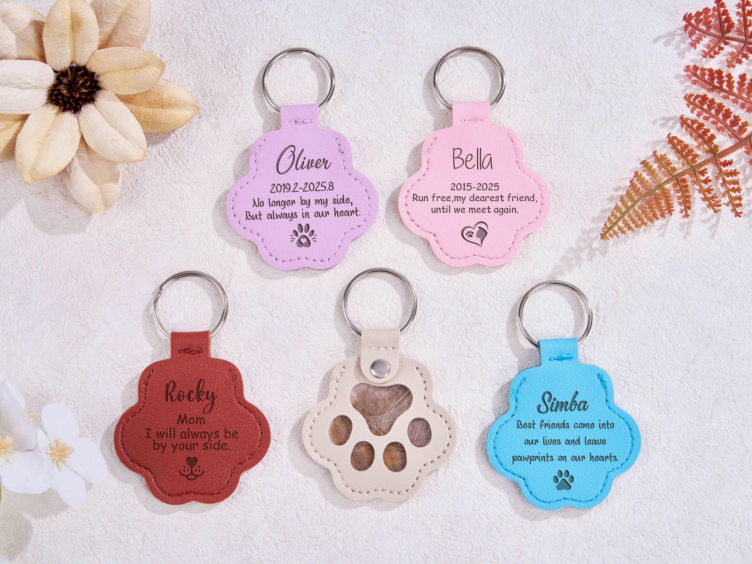 Porte-clés De Rangement De Poils De Chien Mignon, Boîte De