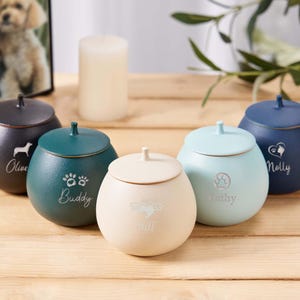 Puede incluir: Cinco urnas de cerámica para mascotas en diferentes colores, incluyendo negro, verde, azul y crema. Cada urna tiene una inscripción personalizada con el nombre de la mascota y un símbolo de huella de pata o corazón. Las urnas están dispuestas sobre una superficie de madera.