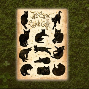 Cat Sticker | Journaling Sticker | Cat Sticker Sheet | Black Cat Sticker | Cat Planner Sticker | Black Cat Sticker Sheet