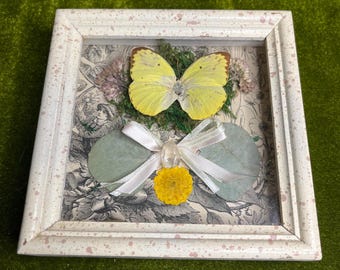 yellow butterfly shadowbox