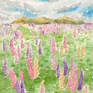 Wildflower Lupine Painting Print Flowers Nature Lupines